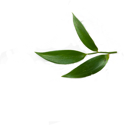 Shape